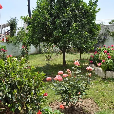 Muzkent - Extrahome Lejlighed Mahmutlar